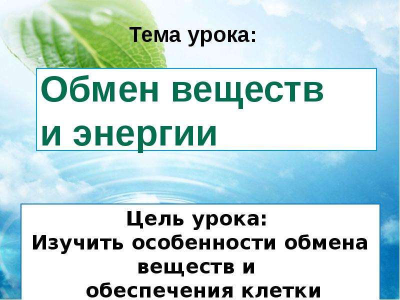 Обмен уроками. Проект на тему обмен веществ и энергии. Тест 2 3 обмен веществ и энергии. Опрос по теме обмен веществ и энергии 6 класс.