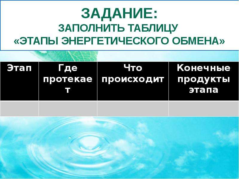 Заполните таблицу этапы обмена веществ. Заполните таблицу этапы энергетического обмена. Заполните таблицу «этапы энергетического обмена» (45 баллов):. 1) Заполните таблицу «этапы энергетического обмена» (45 баллов):.