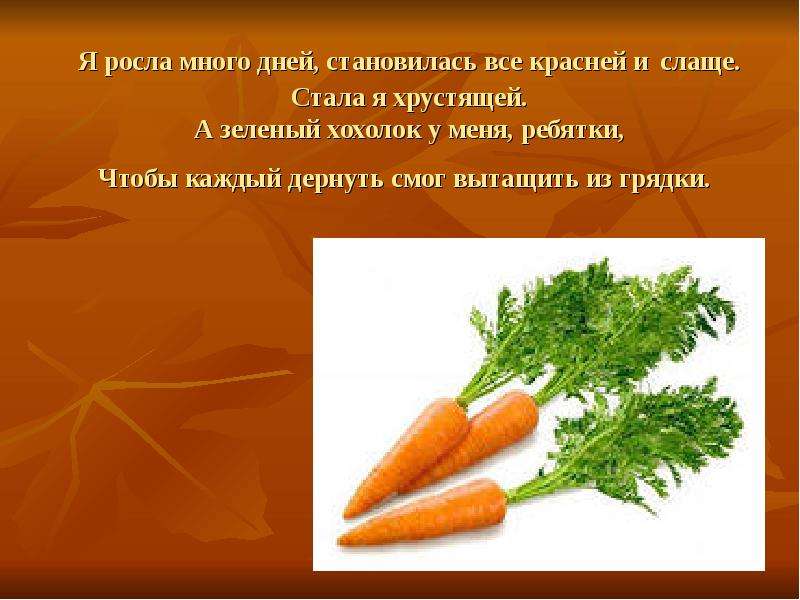 Росло много. Доклад по овощам. Сообщение о овощах. 1классс беседр об овощах факты.