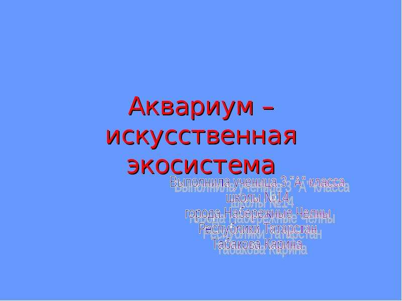 Аквариум искусственная экосистема презентация