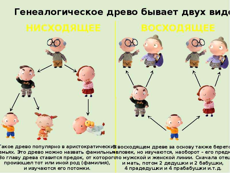 Родословная в детском саду: история и образ семьи, слайд 11