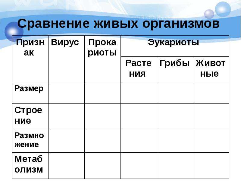 Живой сравнение. Сравнение живых организмов. Сравнение живых организмов таблица. Сходство с живыми организмами. Сопоставление живых организмов.