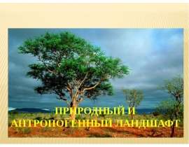 Природный и антропогенный ландшафт