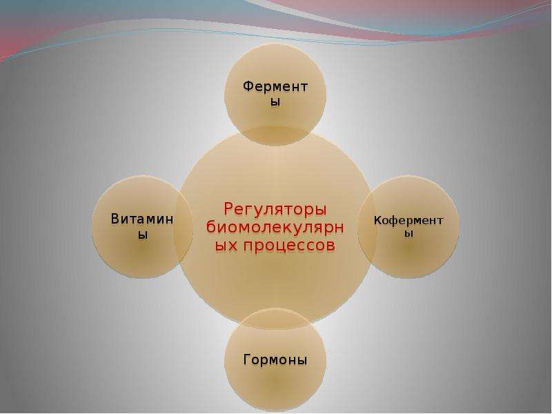 Регуляторы биомолекулярных процессов 11 класс презентация