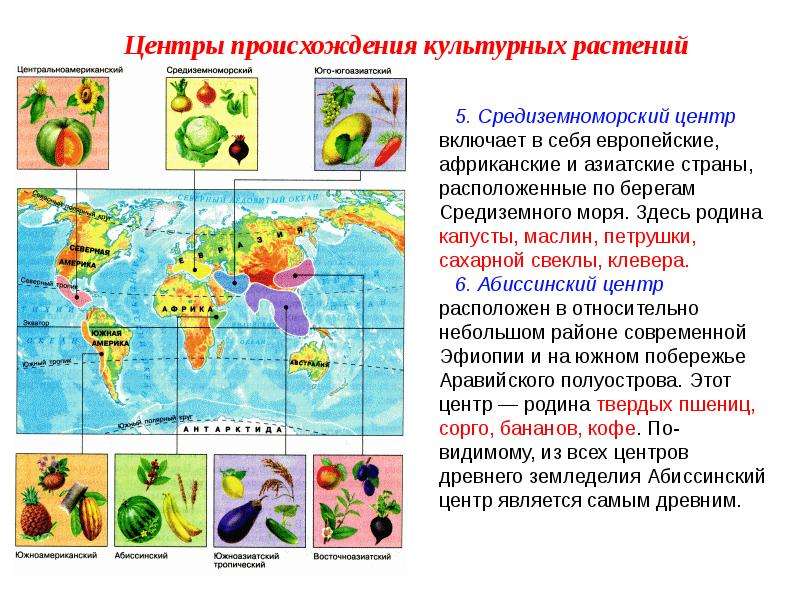 Селекция растений картинки