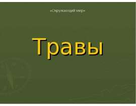 Травы