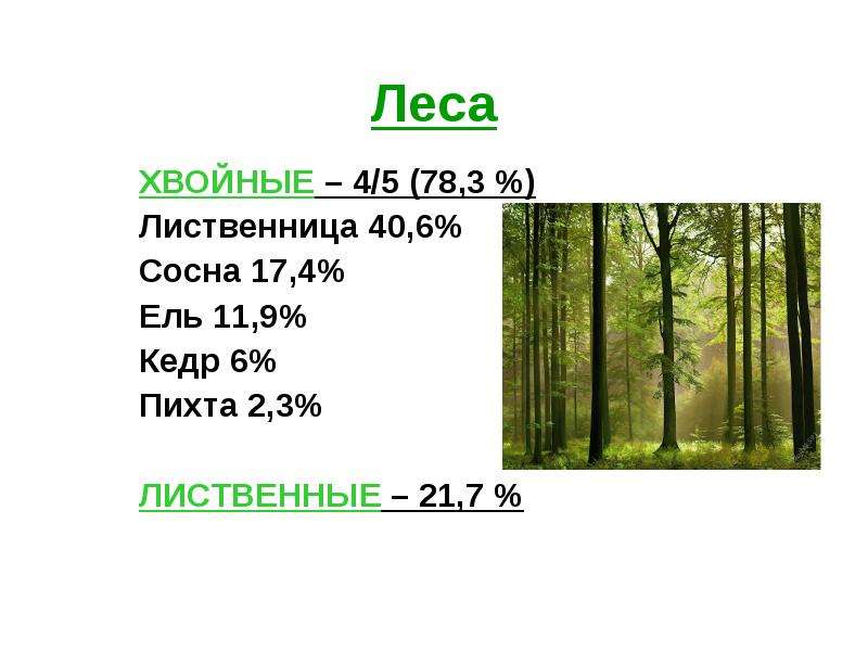Леса ХВОЙНЫЕ – 4/5 (78,3 %) Лиственница 40,6% Сосна 17,4% Ель 11,9% Кедр 6% Пихта 2,3% ЛИСТВЕННЫЕ –