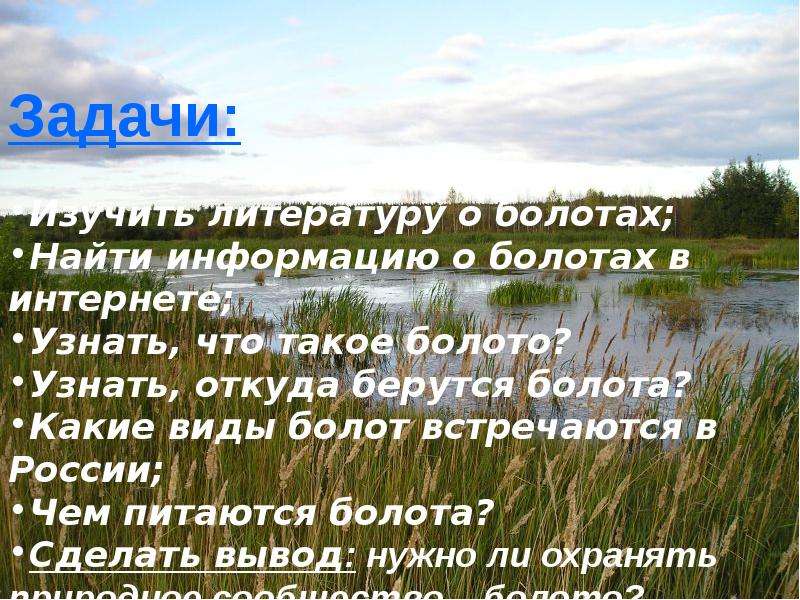 Необходимое болото. Болото презентация. Презентация на тему болото 3 класс. Надо ли охранять болота сообщение. Доклад про болото.