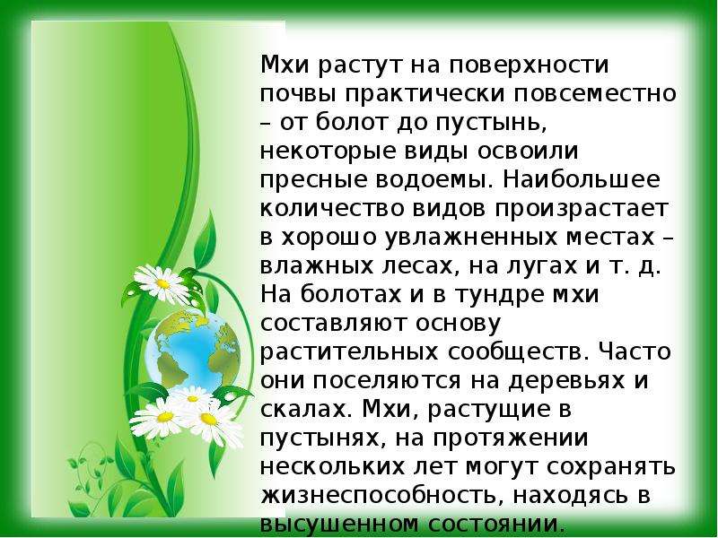 Мхи 3 класс. Доклад про мхи. Презентация на тему мхи. Доклад про мхи 5 класс. Доклад на тему мхи 3 класс.