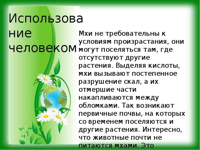 Сочинение про биологию 5 класс. Сообщение о мхах 5 класс биология. Проект по биологии на тему мхи 5 класс. Доклад на тему мхи 5 класс по биологии. Презентация на тему мхи.