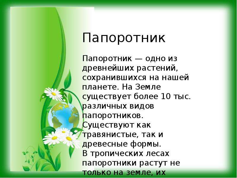 Мхи 5 класс презентация