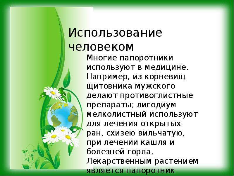 Презентация про папоротники 5 класс по биологии