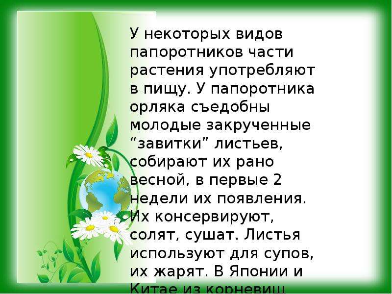 Презентация про папоротники 5 класс по биологии