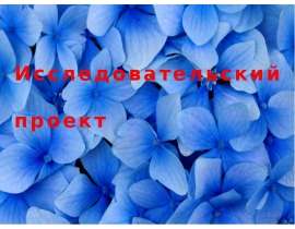 Моя семья. Исследовательский проект (2 класс)