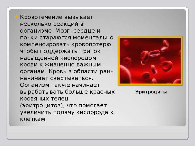 Первая помощь при наружном и внутреннем кровотечении урок обж 8 класс презентация