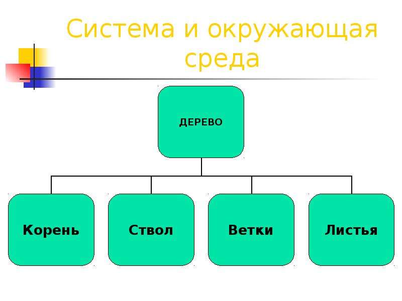 Среды автор. Система и окружающая среда. Система и окружающая среда примеры. Система и окружающая среда Информатика 6 класс. Системность окружающая среда.