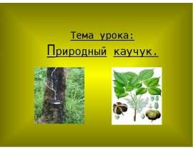Природный каучук