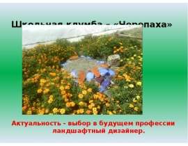 Школьная клумба – «Черепаха»