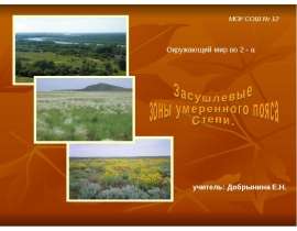 Засушлевые зоны умеренного пояса. Степи