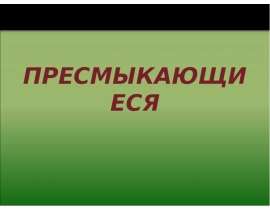Пресмыкающиеся и их отличительные признаки