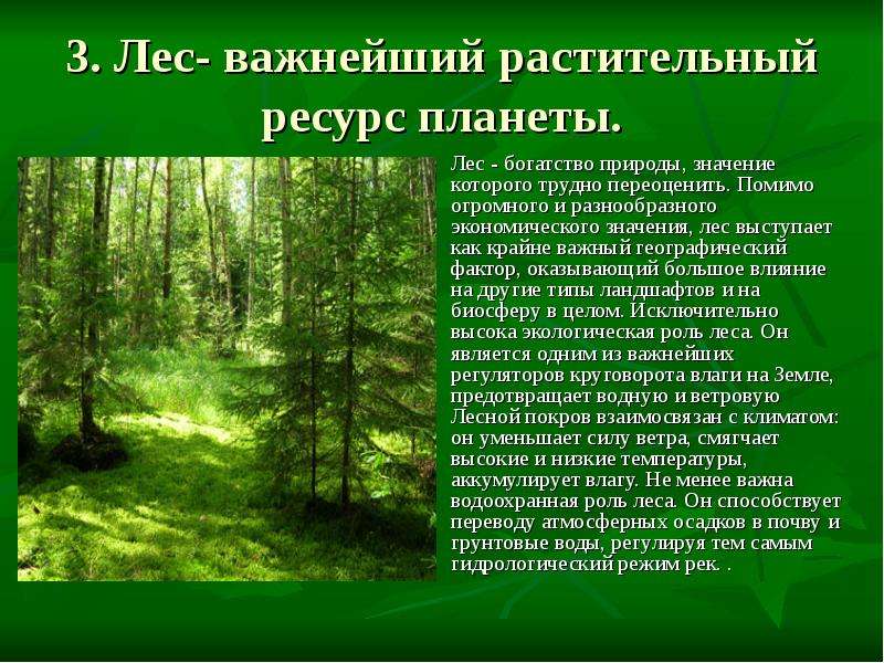 Презентация охрана растительного мира 6 класс биология