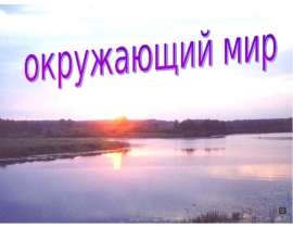 Леса умеренного пояса (2 класс)