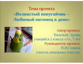 Волнистый попугайчик – Любимый питомец в доме
