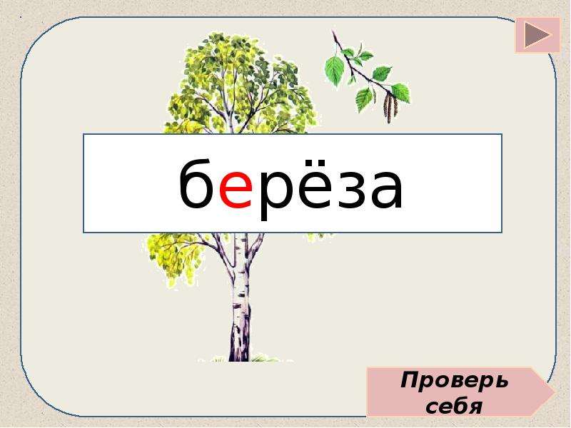 Корень слова осина. Словарное слово береза в картинках. Словарное слово береза 2 класс. Картинах берёза словарное слово. Словарное слово береза запоминаем.