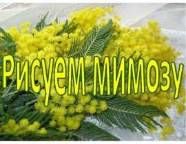 Рисуем мимозу