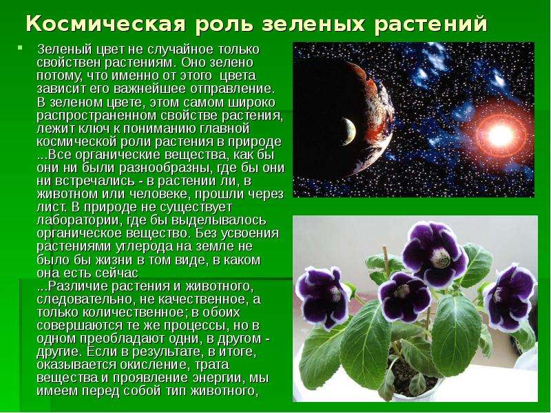 Что такое космическая роль растений