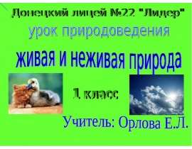 Живая и неживая природа 1 класс
