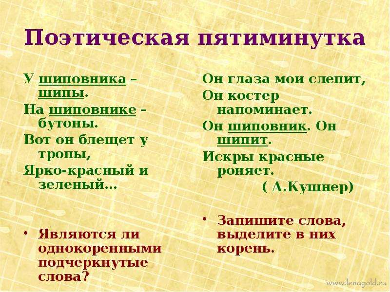 Слово шиповник. Шиповник однокоренные слова. Шипы шиповник однокоренные слова. Шиповник родственные слова. Родственные слова к слову шиповник.