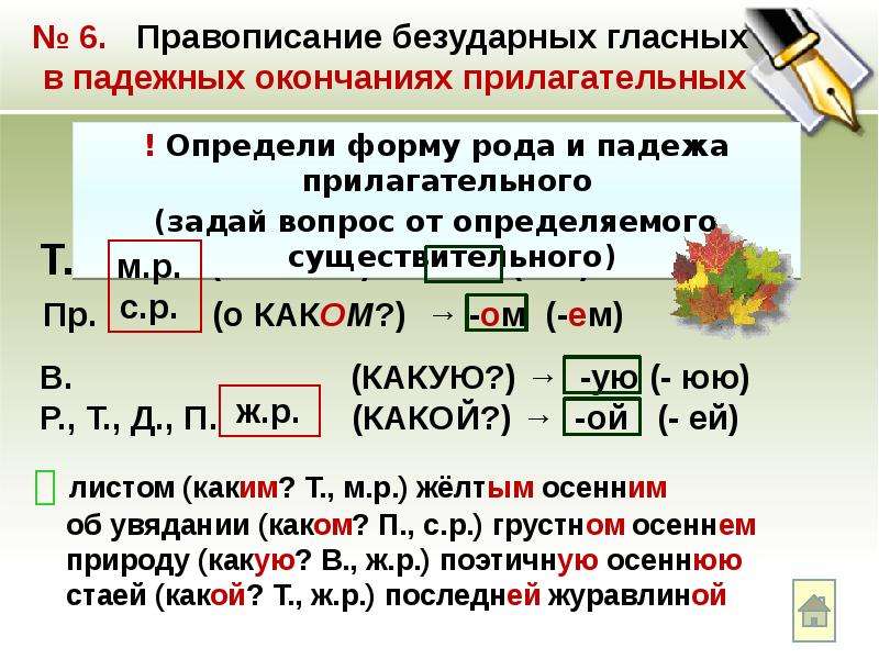 5 класс правописание гласных в падежных окончаниях прилагательных технологическая карта