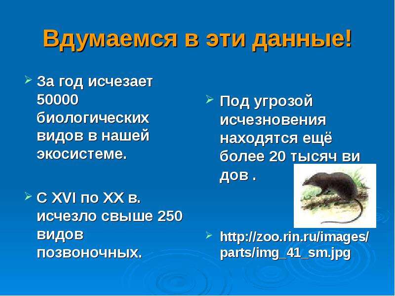 Презентация на тему защита. Охрана природы презентация. Защита природы презентация. Биология охраны природы презентация. Охрана живой природы доклад.