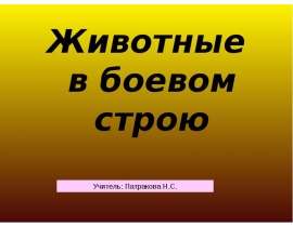 Животные в боевом строю