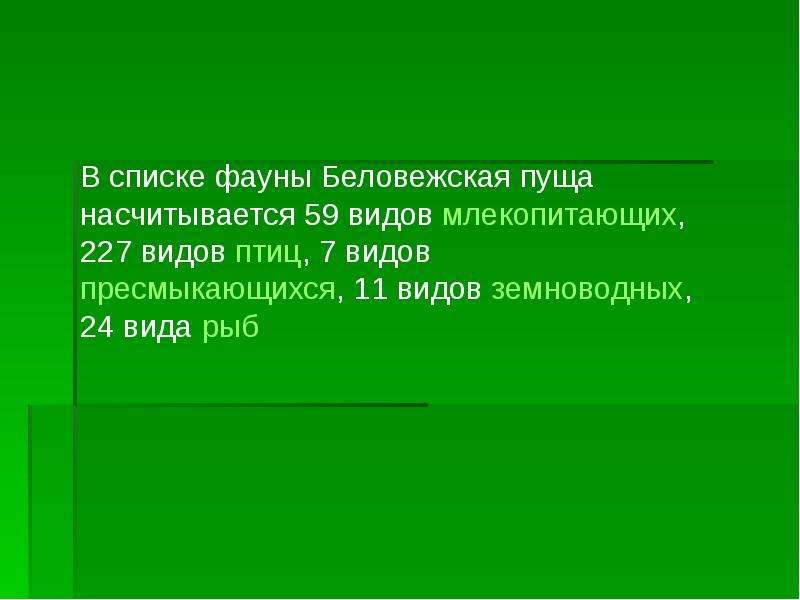 Беловежская пуща презентация для детей