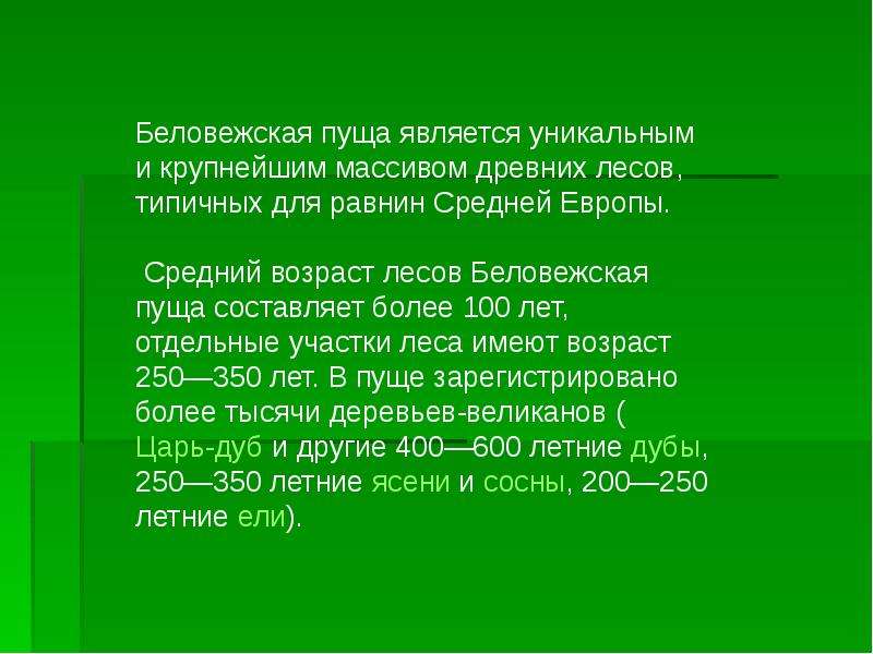 Беловежская пуща презентация для дошкольников