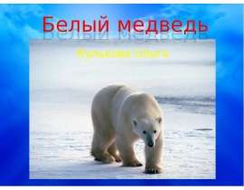 Белый медведь 8 класс