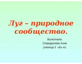 Луг – природное сообщество (3 класс)
