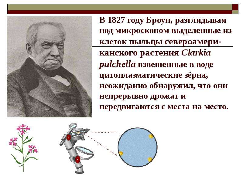 Броуновское движение 10 класс физика презентация