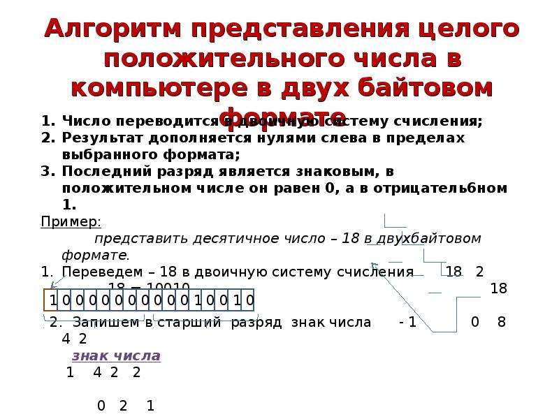 Числовое представление. Представление числовой информации в компьютере. Представление целого положительного числа в компьютере. Представление числовой информации в компьютере кратко. Байтовое представление числа.