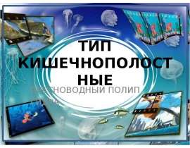Тип кишечнополостные