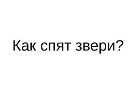 Как спят звери?