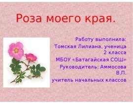 Роза моего края