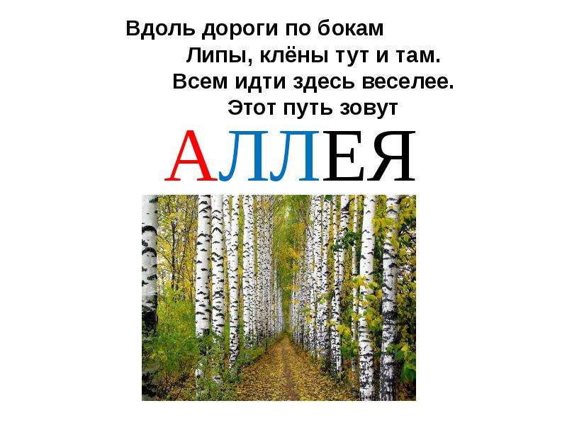 Путь зовет. Загадка про аллею. Аллея словарное слово. Загадка про аллею для детей. Загадка про слово аллея.