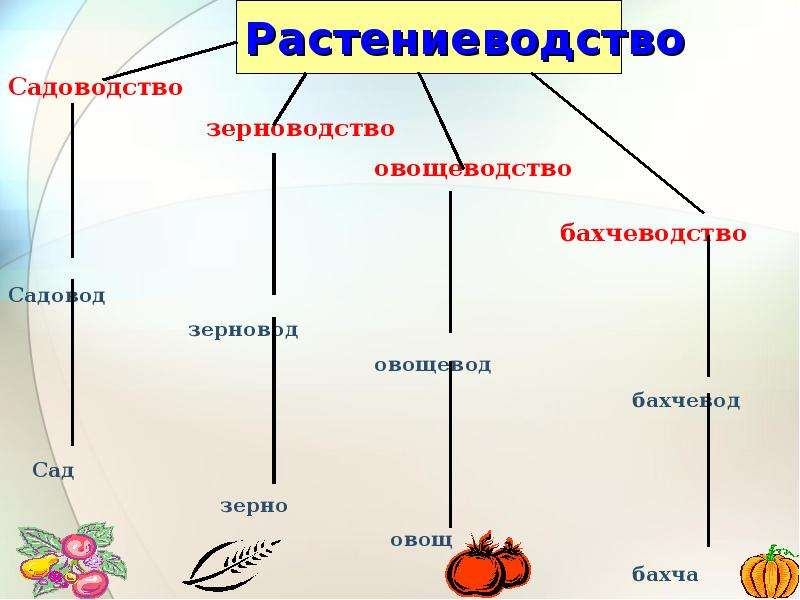 Растениеводство 4 класс окружающий. Отрасли растениеводства 4 класс. Растениеводство презентация. Схема на тему растениеводства. Садоводство отрасль растениеводства.