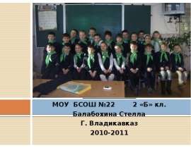 Покормите птиц зимой