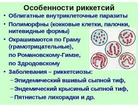 Особенности риккетсий