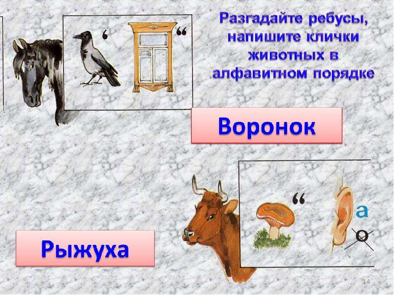 Клички животных в алфавитном порядке. Ребус на словосочетание защита животных.