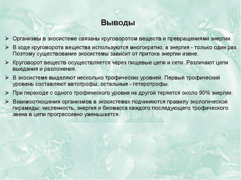 Презентация потоки вещества и энергии в экосистеме 9 класс биология